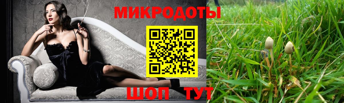 Галлюциногенные грибы мицелий Ростов-на-Дону